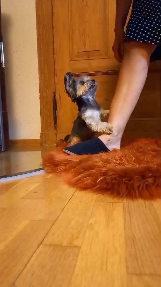 Trick Challenge - ich packe meinen Koffer-Beitrag-Bild