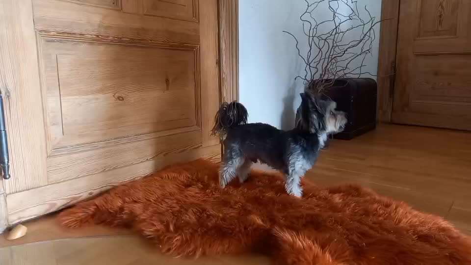 Veteranenzone - Koffer packen für fortgeschrittene-Beitrag-Bild