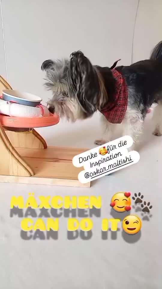 aktuelles Foto Gruppe Trickkiste