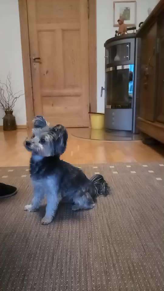 Trick Spiel - ich packe meinen 8. Koffer-Beitrag-Bild