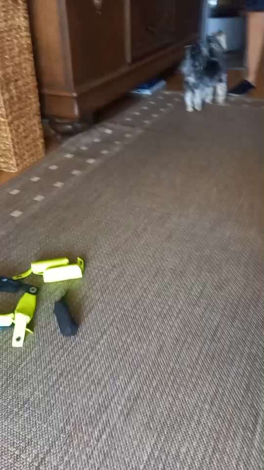 Farben lernen-Beitrag-Bild