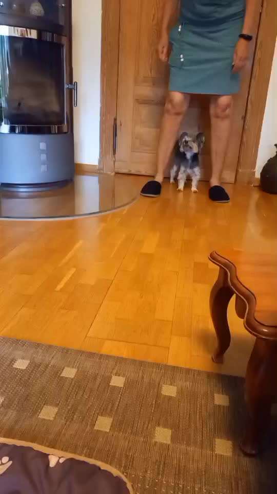 Trickchallenge - ich packe meinen 5. Koffer-Beitrag-Bild