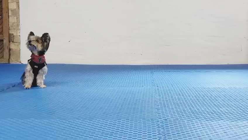 Trickchallenge Nr. 84

"Etwas öffnen "-Beitrag-Bild