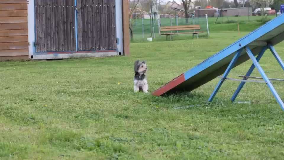 80. Trickspiel Balancieren-Beitrag-Bild