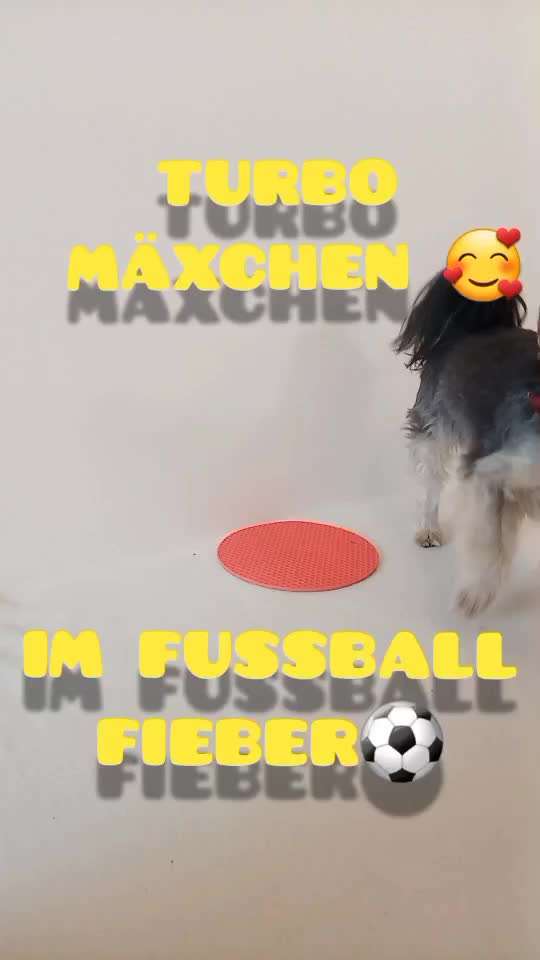 aktuelles Foto Gruppe Trickkiste