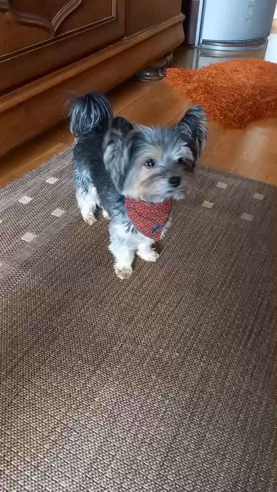 83.Trickspiel Karate-Beitrag-Bild