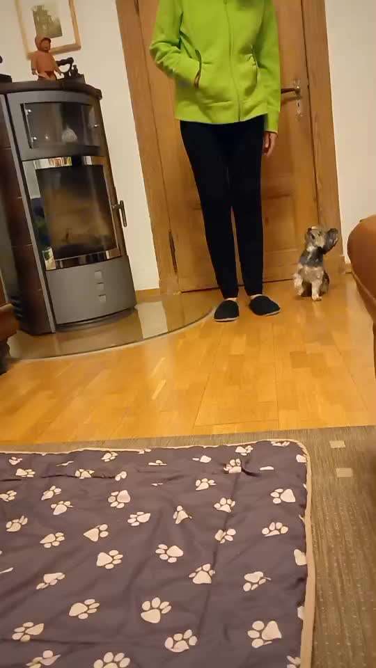 Trickchallenge - ich packe meinen 4. Koffer-Beitrag-Bild