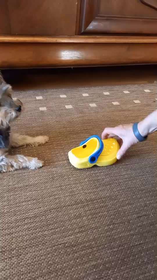 Trickchallenge Nr. 85   ,,Schau rein,,-Beitrag-Bild