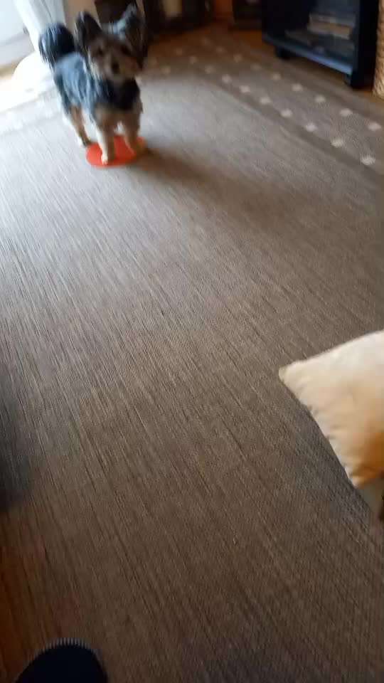 87. Trickchallenge: kinntarget-Beitrag-Bild