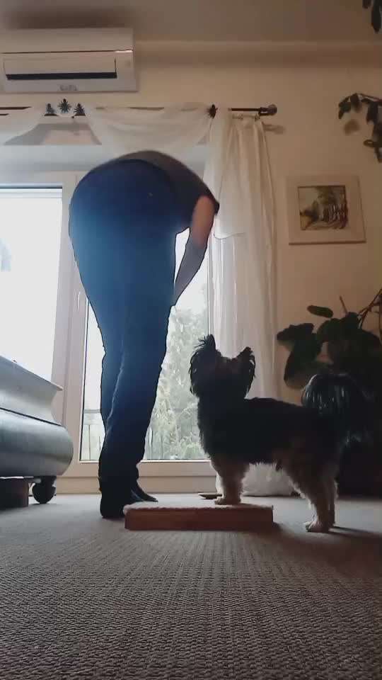 78.Trickspiel: Faceout-Beitrag-Bild