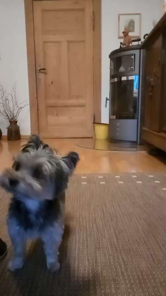 Trick Spiel - ich packe meinen 8. Koffer-Beitrag-Bild