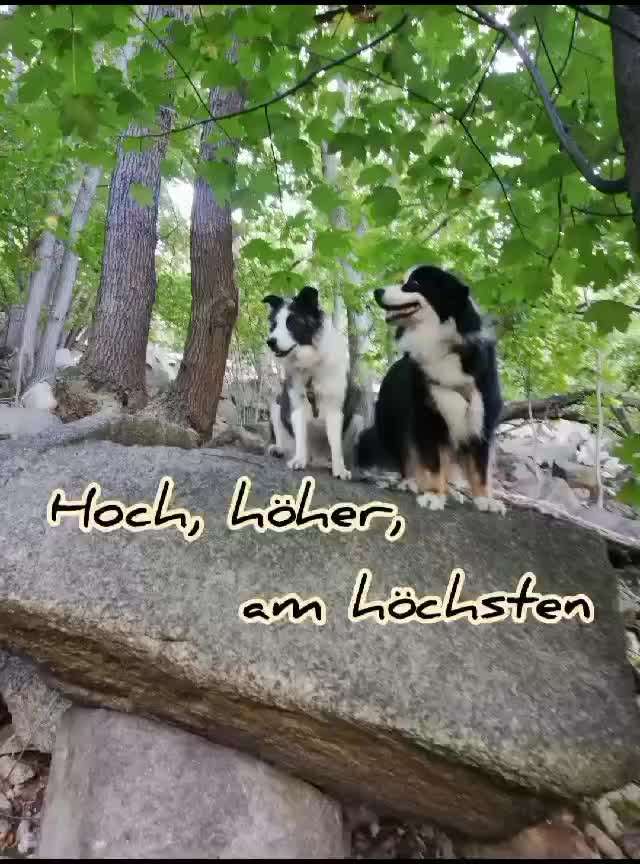 23. Kurzgeschichten - Auf zu neuen Abenteuern-Beitrag-Bild