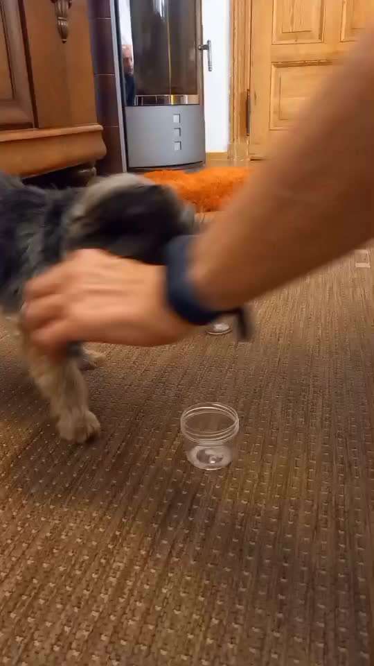 aktuelles Foto Gruppe Trickkiste