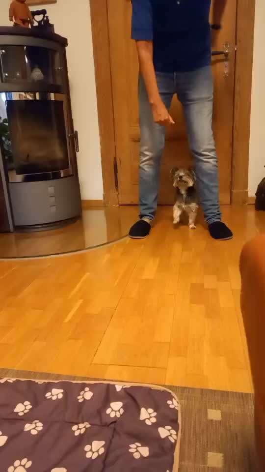 Trickchallenge - ich packe meinen 5. Koffer-Beitrag-Bild