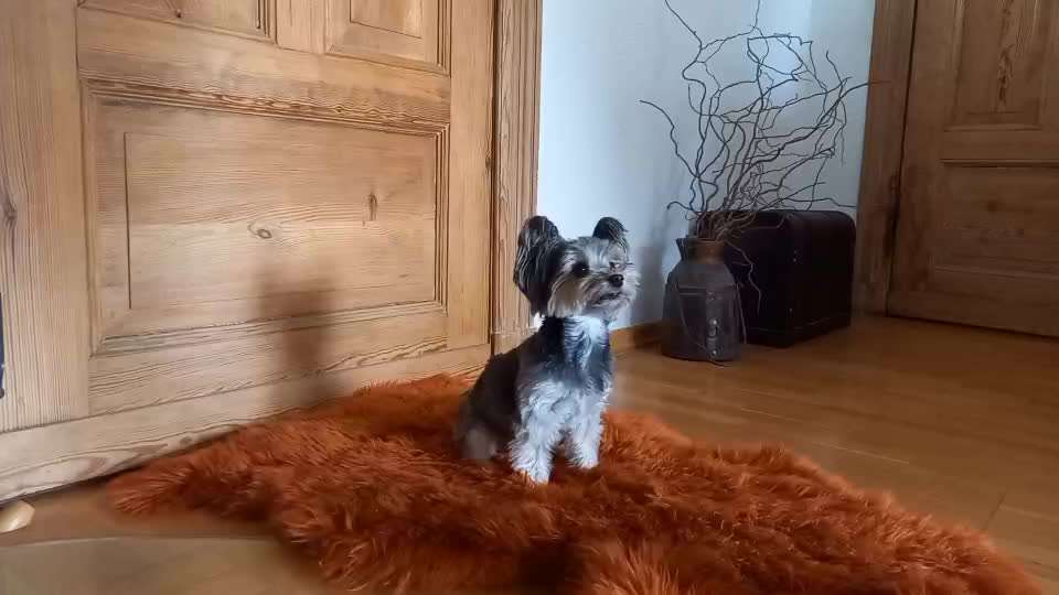 Veteranenzone - Koffer packen für fortgeschrittene-Beitrag-Bild