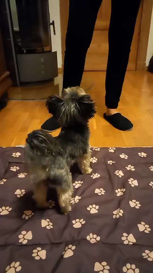 Trickchallenge - ich packe meinen 6. Koffer-Beitrag-Bild