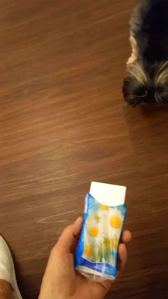 48. Papiertücher ziehen und bringen-Beitrag-Bild