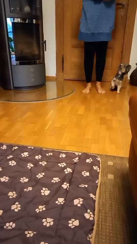 Trickchallenge - ich packe meinen 4. Koffer-Beitrag-Bild