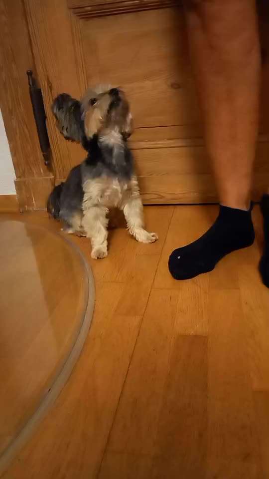 Trick Challenge - ich packe meinen Koffer-Beitrag-Bild