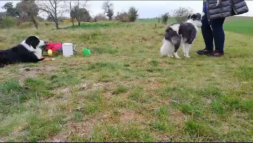 Trickchallenge - ich packe meinen 6. Koffer-Beitrag-Bild