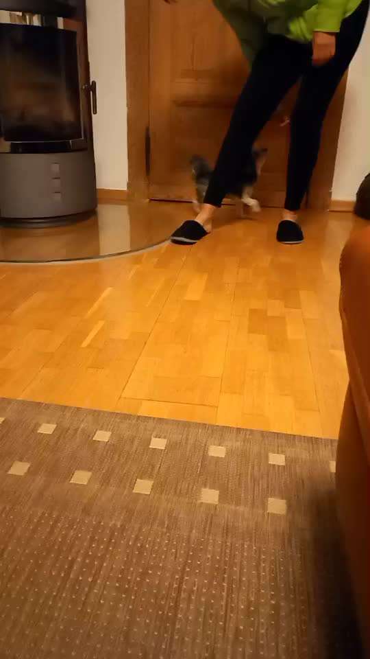 Trickchallenge - ich packe meinen 5. Koffer-Beitrag-Bild