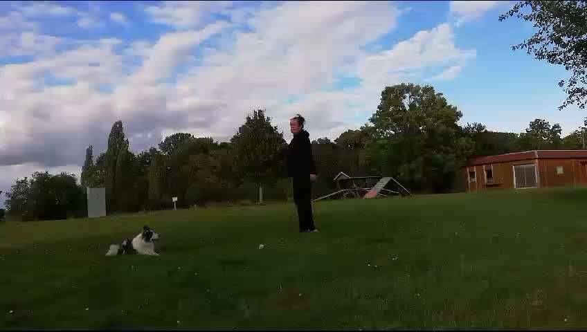 Veteranenzone - Koffer packen für fortgeschrittene-Beitrag-Bild