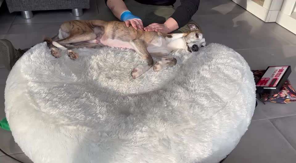 Wellness für Seniorin-Beitrag-Bild