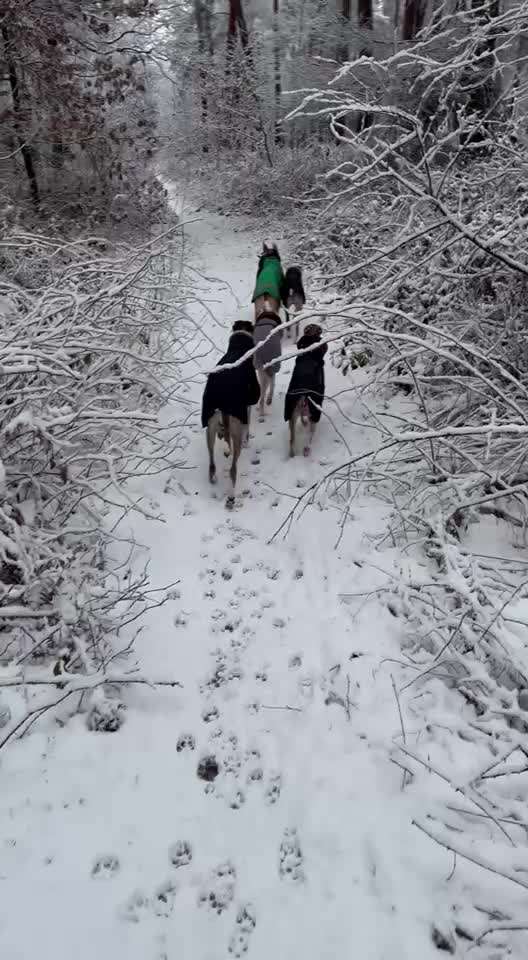 Wintermäntel bzw. Was fürn Übergang-Beitrag-Bild