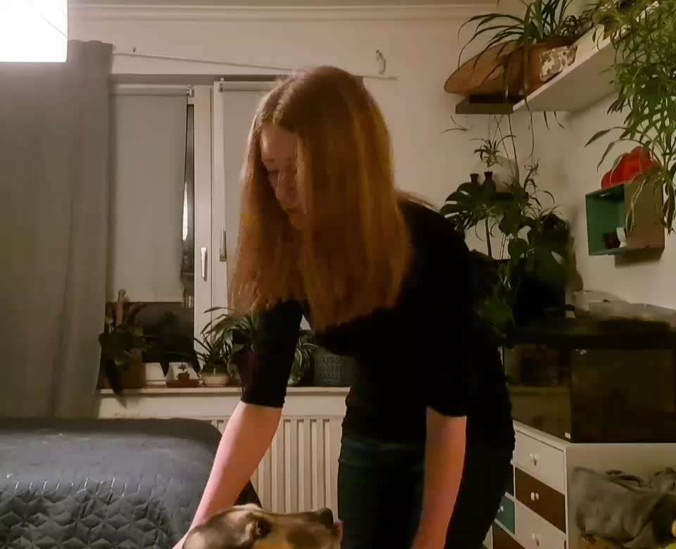 30. Impulskontrollübung: Ich trag dich auf Händen-Beitrag-Bild