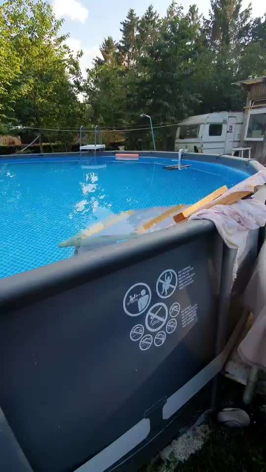 Dogorama Video Challenge: Lustige Wasser Videos-Beitrag-Bild