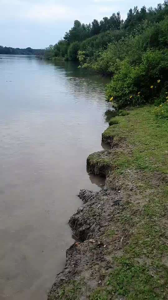 Dogorama Video Challenge: Lustige Wasser Videos-Beitrag-Bild