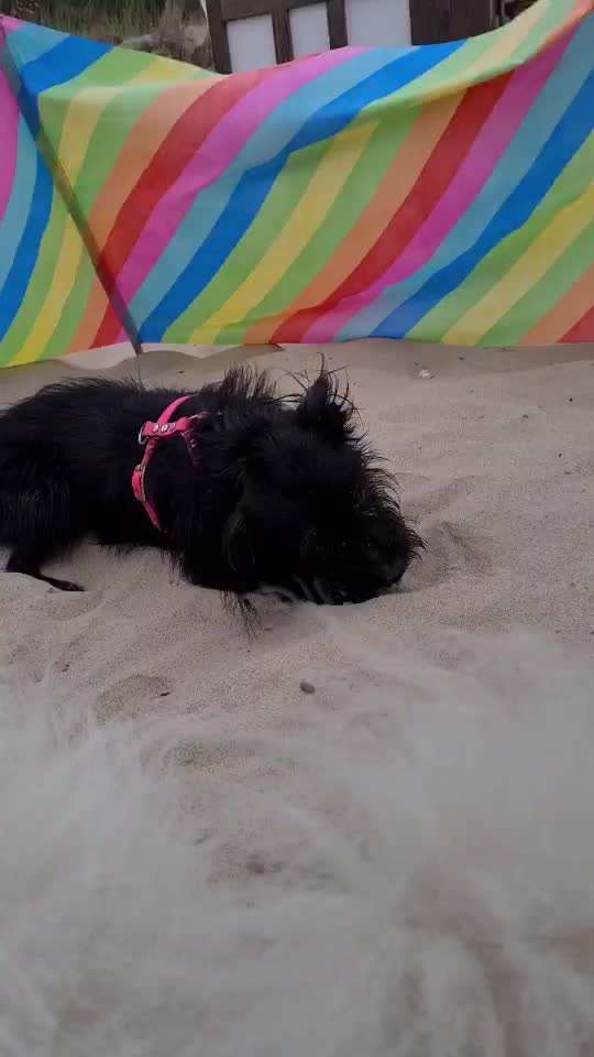 Video Challenge Nr. 4 - Lecker, Lecker-Beitrag-Bild