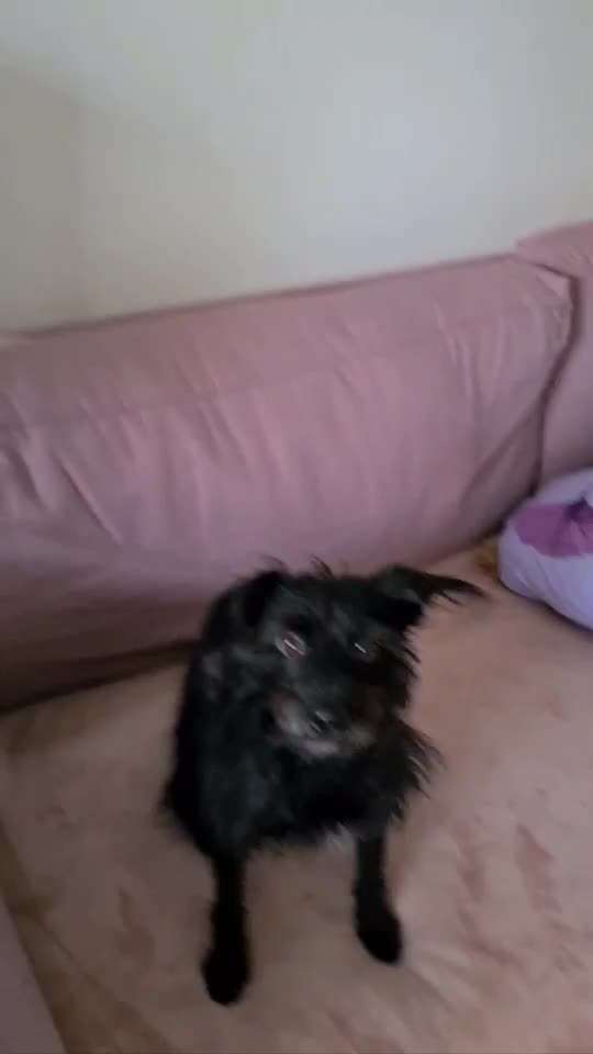 Trick Challenge Nr. 16-Beitrag-Bild