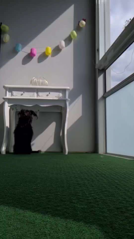 Trick Callenge Nr. 17-Beitrag-Bild