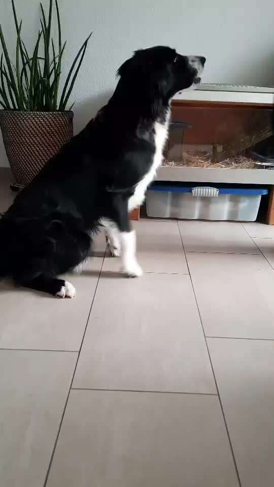 Trick Challange Nr 3-Beitrag-Bild