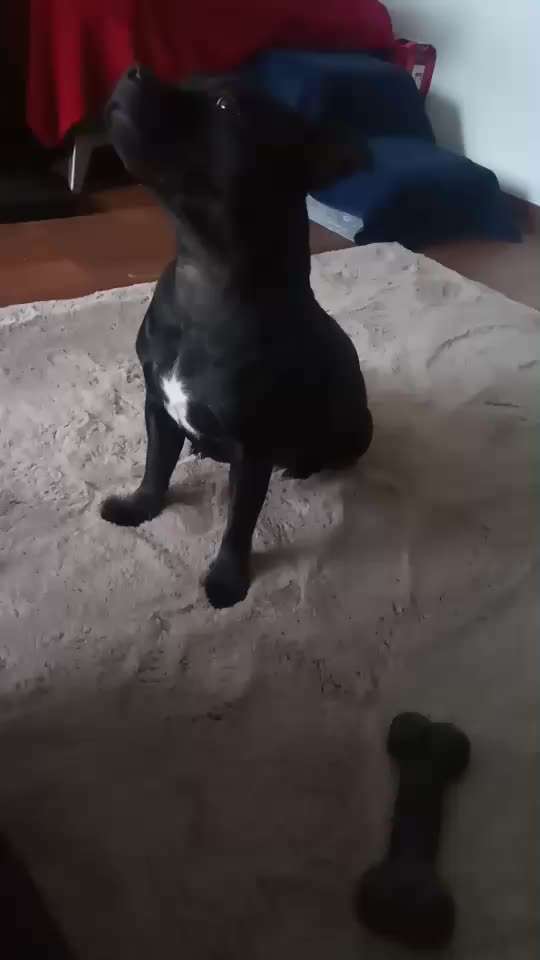 Rein körpersprachlich arbeiten - geht das?-Beitrag-Bild