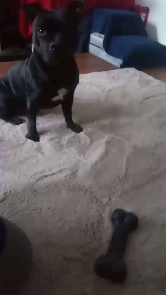 Rein körpersprachlich arbeiten - geht das?-Beitrag-Bild