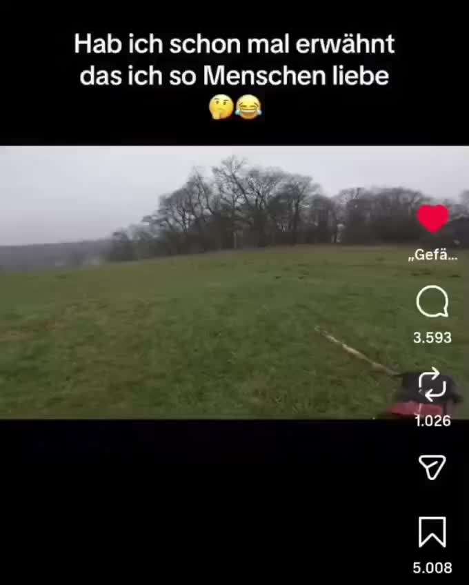 Gefährliche Hundebegegnungen-Beitrag-Bild