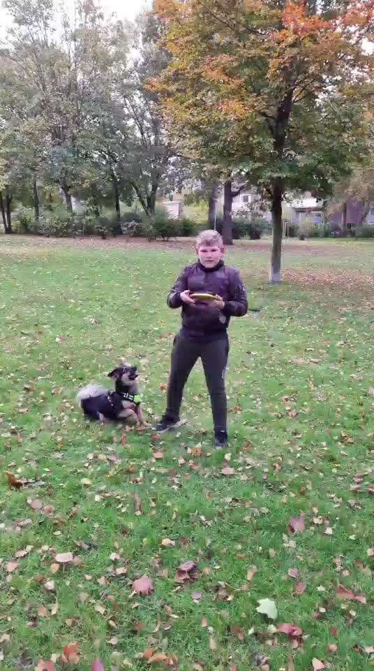 Zeigt eure verrücktesten Hundebilder-Beitrag-Bild