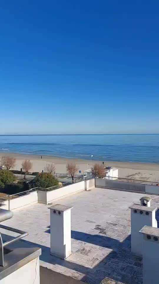 aktuelles Foto Gruppe Labrador