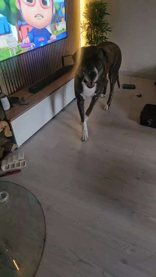 Arthrose im Ellenbogen?-Beitrag-Bild