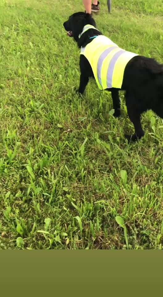 Beleuchtung im Herbst?-Beitrag-Bild