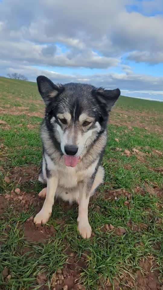 15. Video Challenge.  In SloMo die Welt erkunden!-Beitrag-Bild