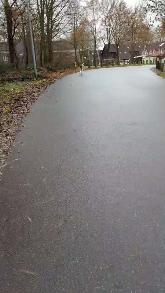 Beagle ohne Leine?-Beitrag-Bild