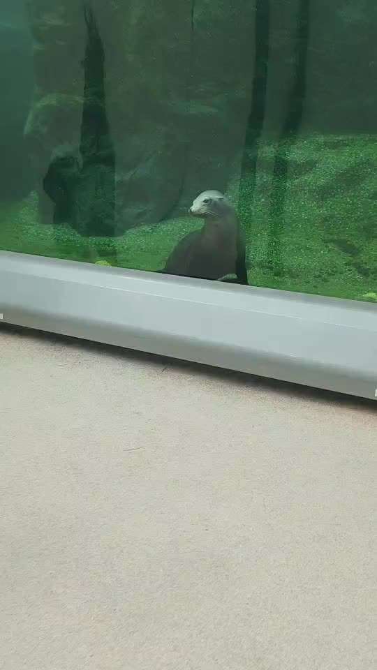 Freddys Kummerkasten-Beitrag-Bild