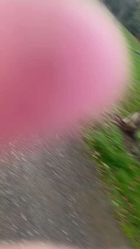 Windhunde - Treffen der besonderen Schönheiten
HERZLICH WILLKOMMEN-Beitrag-Bild