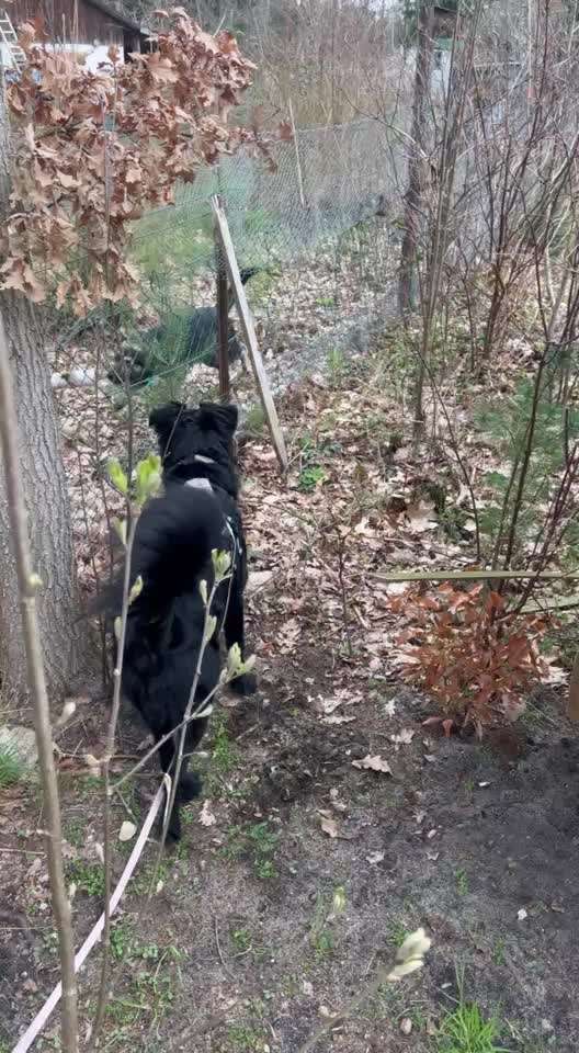 aktuelles Foto Gruppe Körpersprache lesen & verstehen