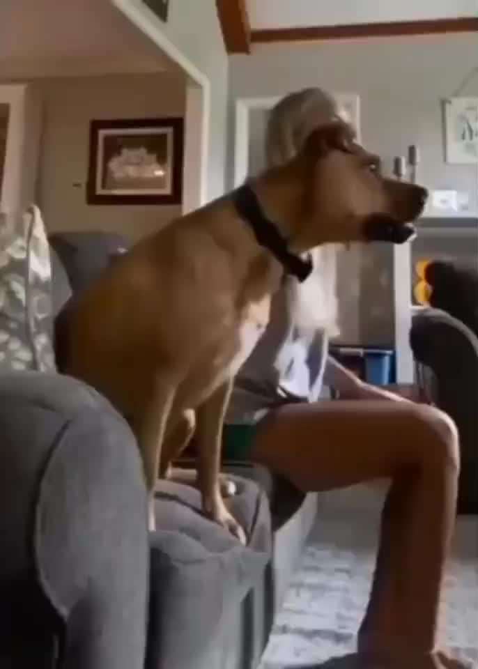 Hier ist der Spaßthread. Zum Schmunzeln und Kaputtlachen-Beitrag-Bild