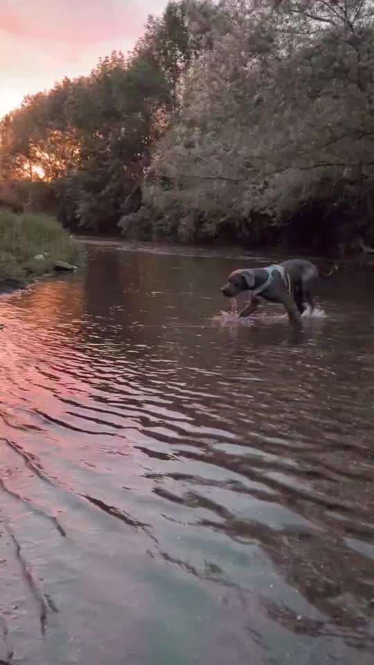 50. Video Challenge - Wasserscheu oder nicht-Beitrag-Bild