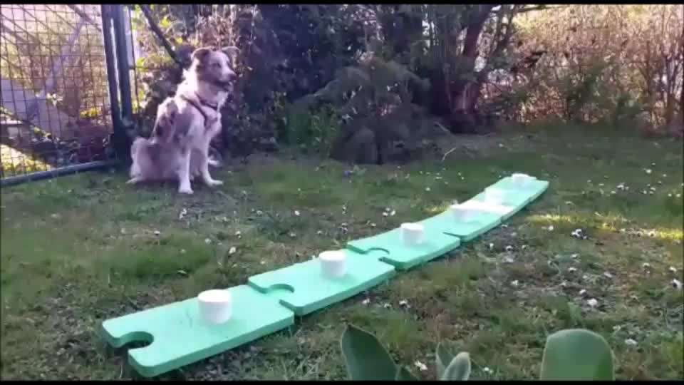 Schnüffelspiele-Beitrag-Bild